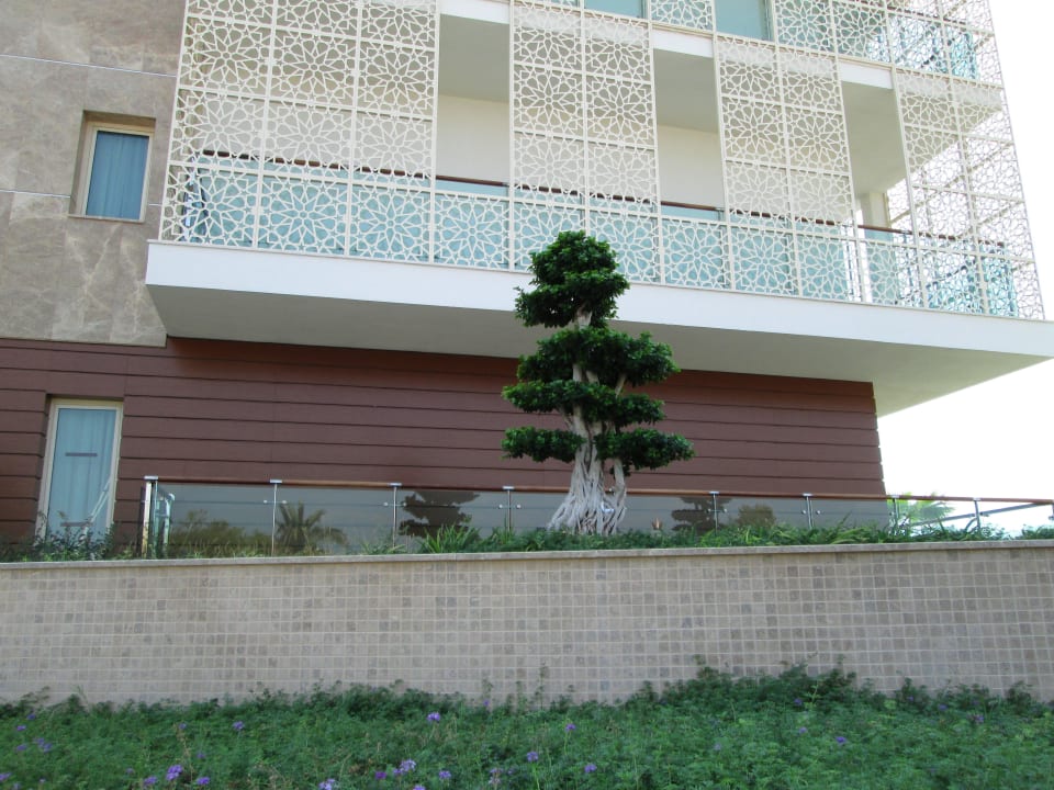 Bonsai  Sentido Trendy Verbena Beach