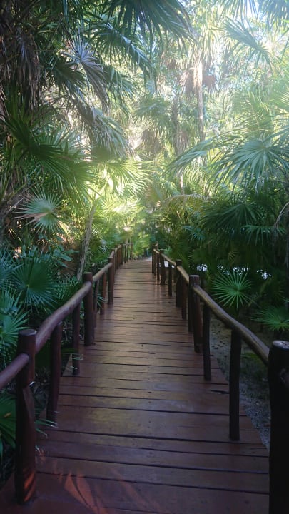 Gartenanlage Grand Palladium Kantenah Resort & Spa