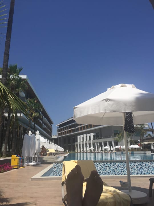 Pool Acanthus Cennet Barut Collection