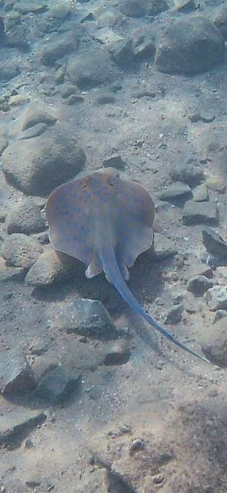 Sport & Freizeit Arabella Azur Resort