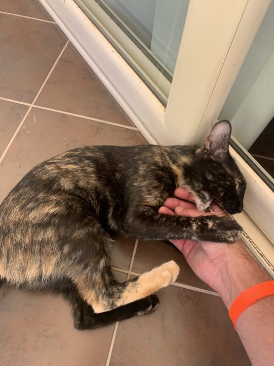 Sonstiges Iberotel Casa Del Mar Resort