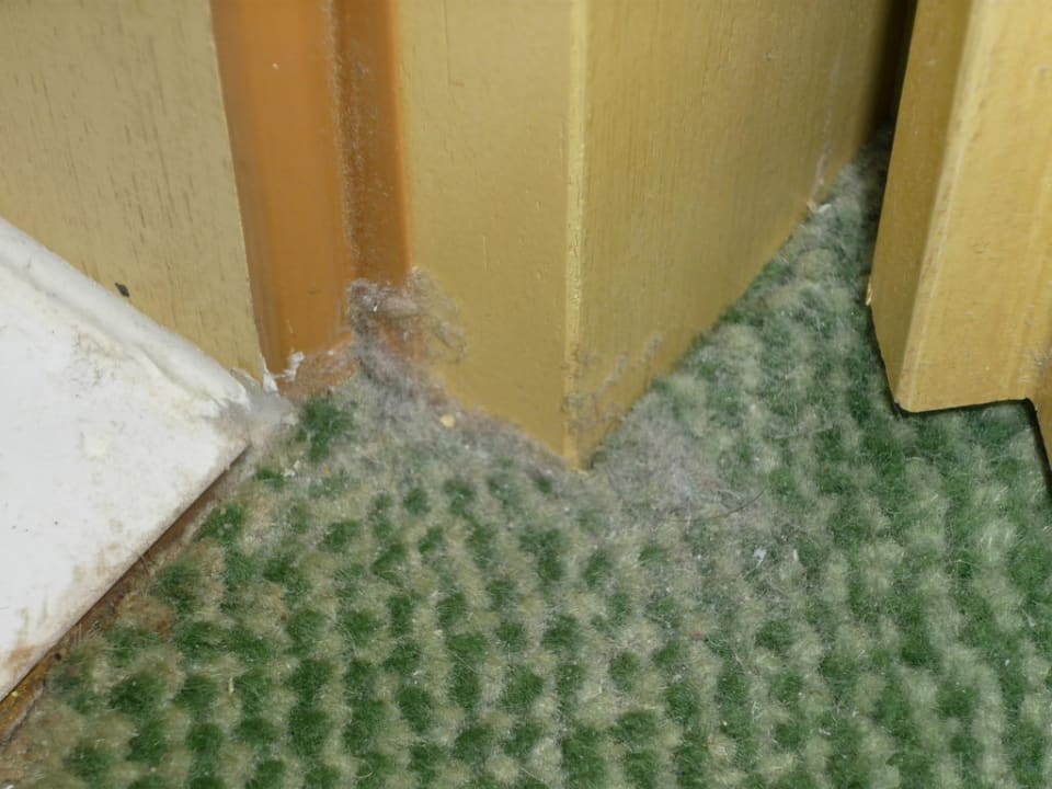 Dreck Rugard Thermal Strandhotel