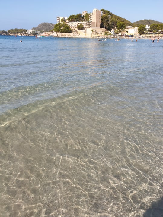 Strand FLOR los Almendros Hotel