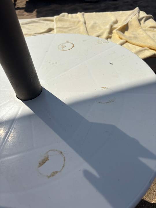 Strand Acanthus Cennet Barut Collection