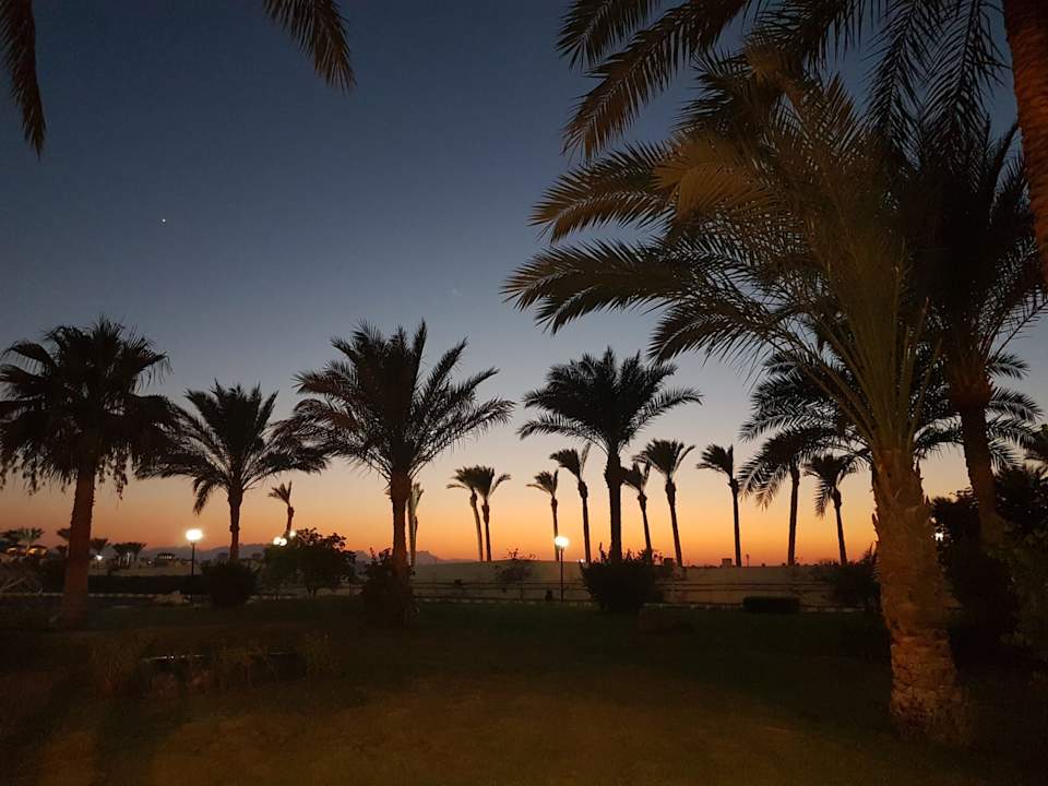 Ausblick Desert Rose