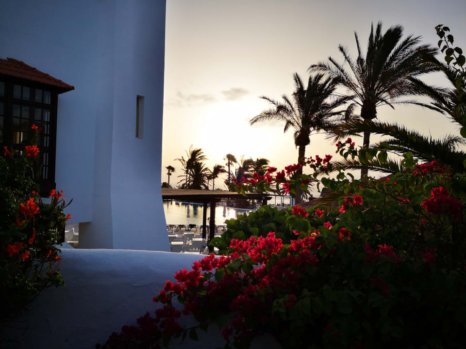 Ausblick Club Jandia Princess