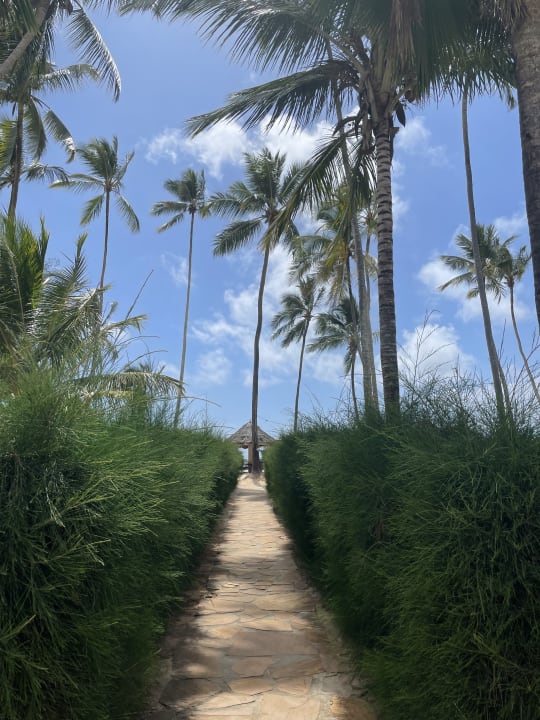 Gartenanlage TUI Blue Bahari Zanzibar