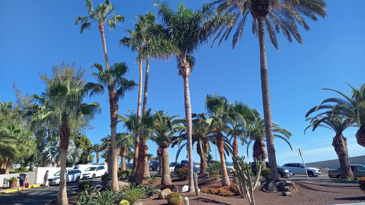 Außenansicht allsun App.-Hotel Esquinzo Beach