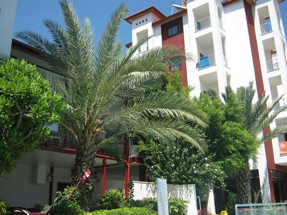 Palmen Hotel Side Elis
