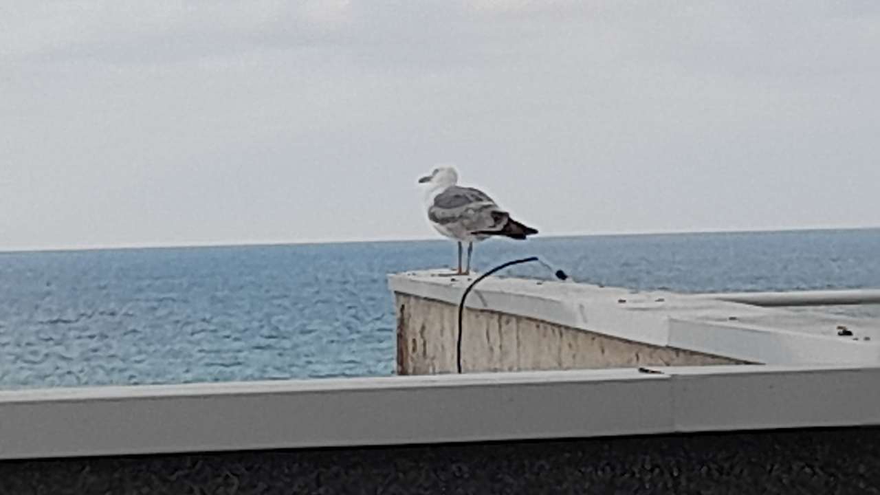 Zimmer Hotel Borjana