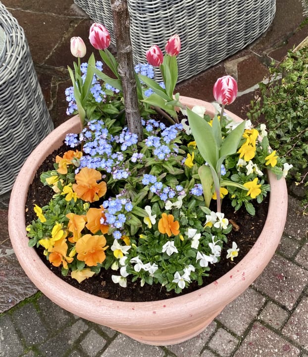 Sonstiges Hotel Kohlerhof