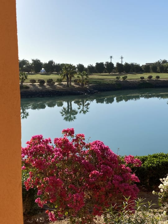 Zimmer Steigenberger Golf Resort El Gouna