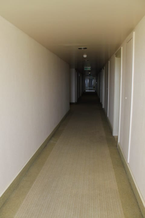 Gang PALOMA Perissia