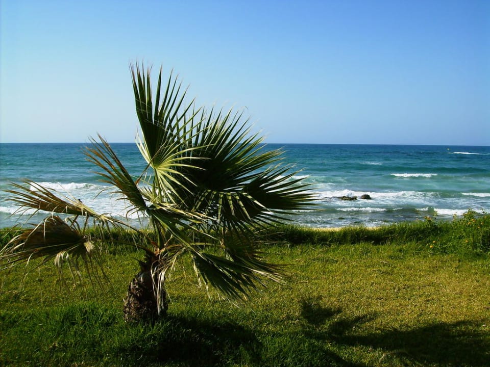Blick von den Juniorsuiten direkt zum nahen Meer Alexander Beach Hotel & Village Resort