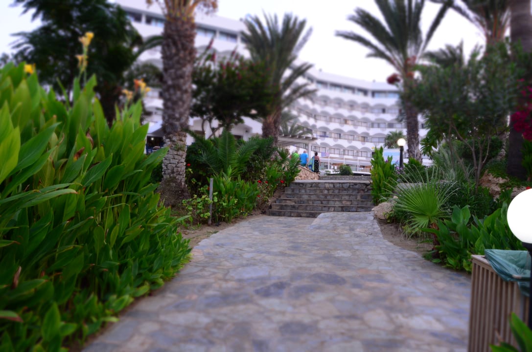 Gartenanlage Crystal Springs Beach Hotel