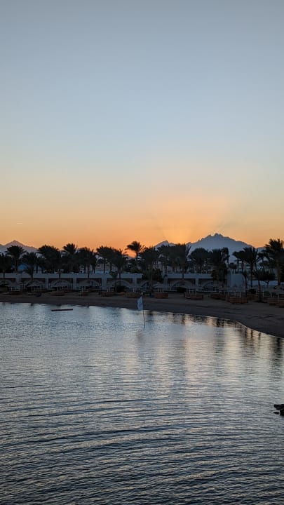 Außenansicht Desert Rose