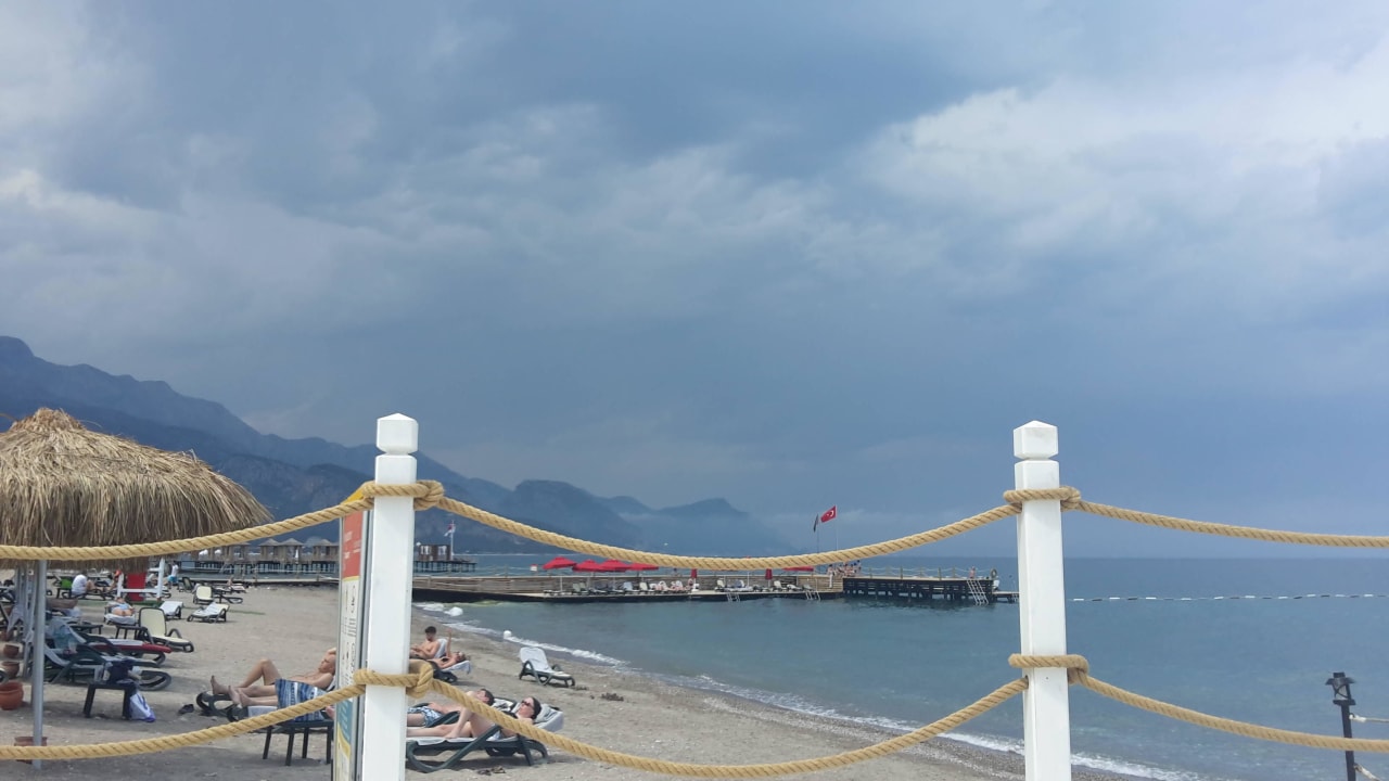 Blick in die Runde Balmy Foresta