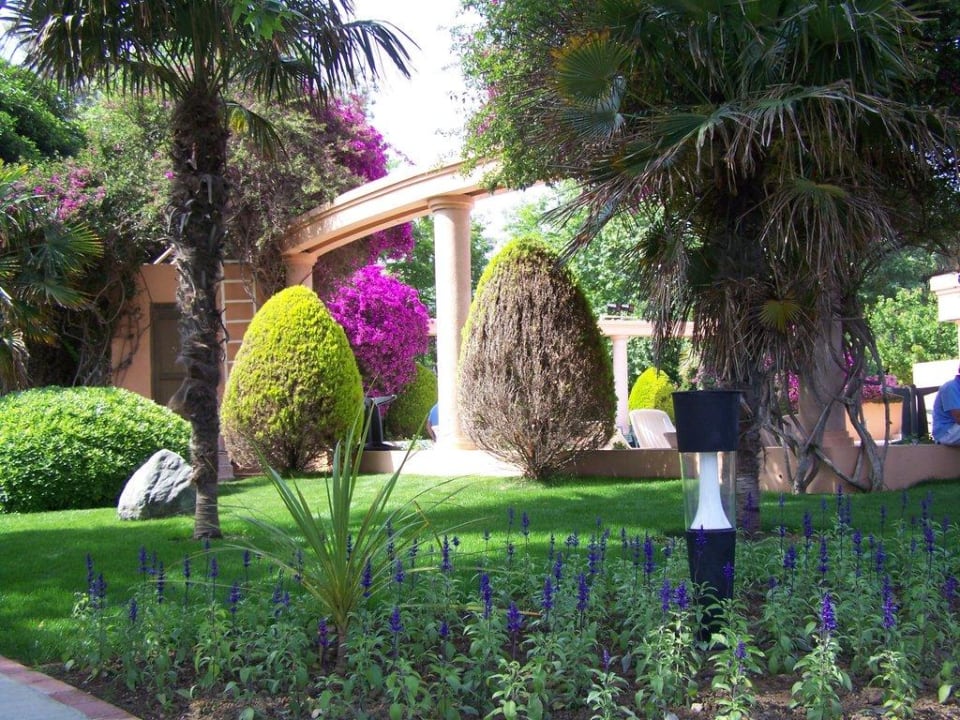 Grünanlage Side Star Elegance