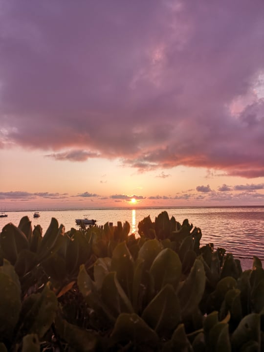 Ausblick Friday Attitude