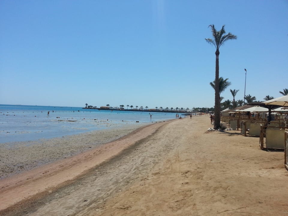Langer Strand mit Liegen und Windschutz Steigenberger ALDAU Beach Hotel