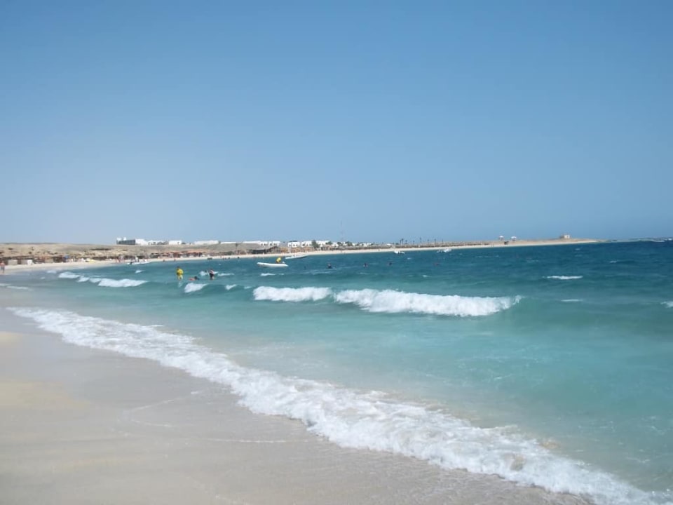 Plaża hotelowa Malikia Resort Abu Dabbab