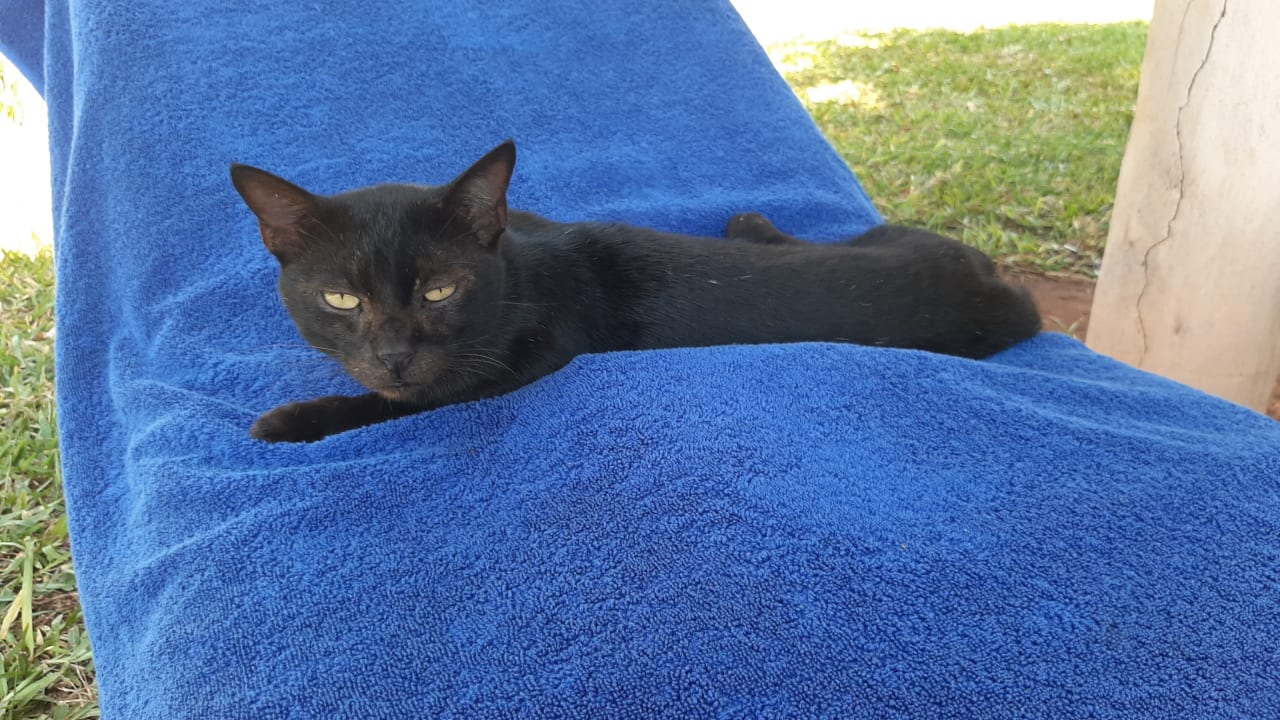 Sonstiges Neptune Palm Beach Boutique Resort & Spa