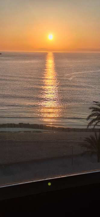 Ausblick Hipotels Mediterraneo