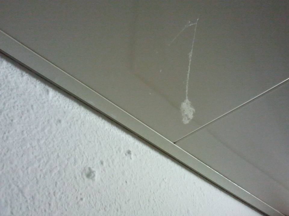 Sauberkeit ibis budget Hotel Chemnitz Sued West