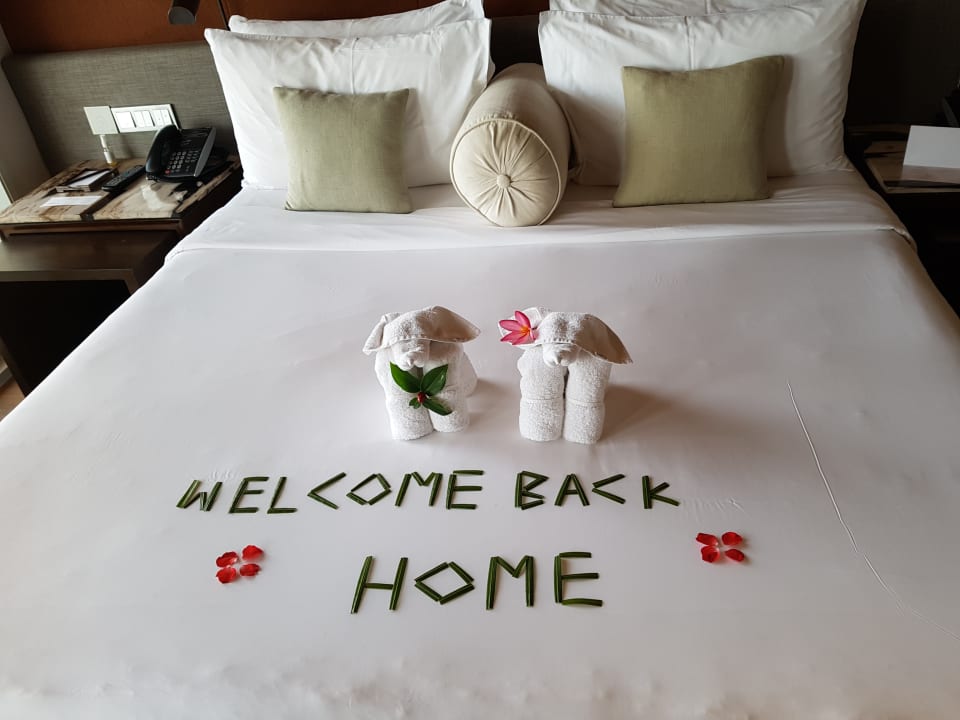 Zimmer Amatara Welleisure Resort