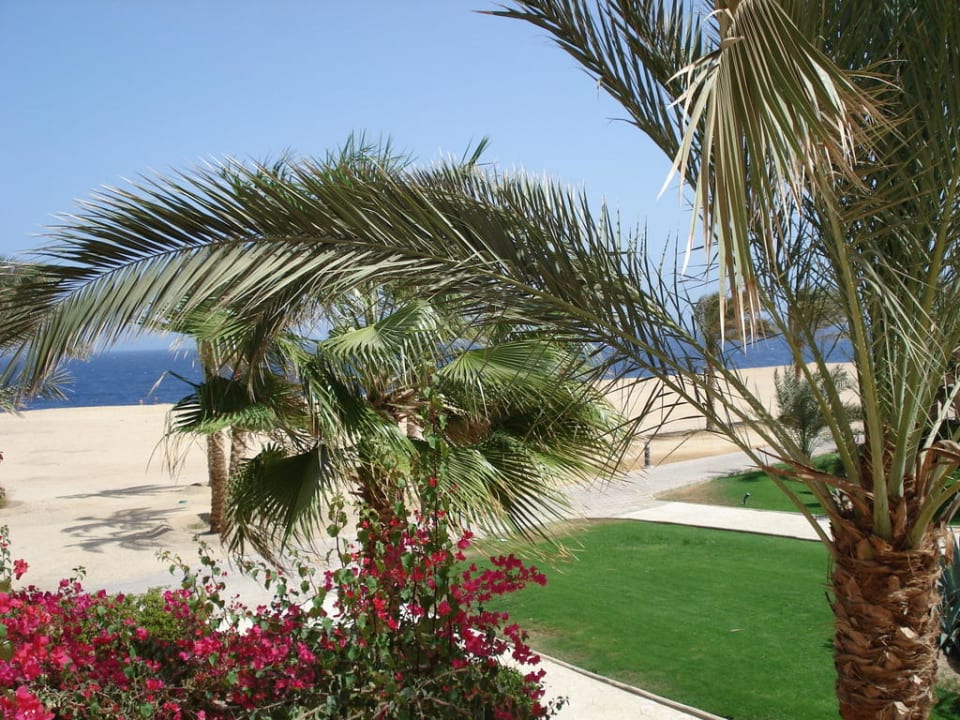 Ausblick vom Zimmer Steigenberger Coraya Beach - Adults only