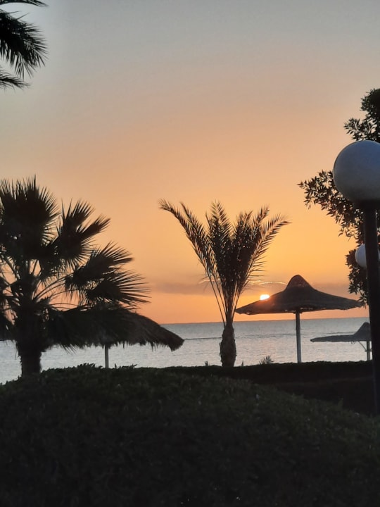 Ausblick Blue Reef Red Sea Resort