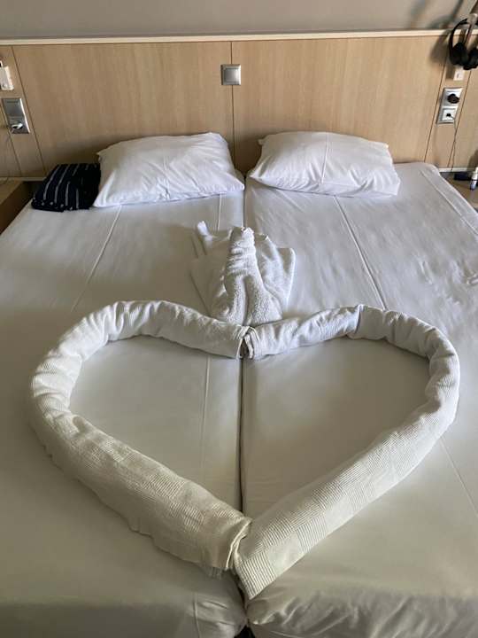 Zimmer TUI BLUE Palm Garden