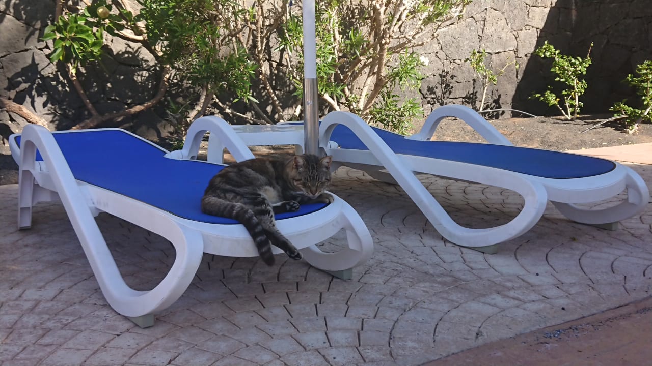 Außenansicht Hotel Costa Calero