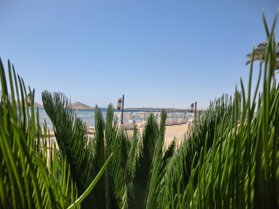 Strand Makadi Spa - Adults only