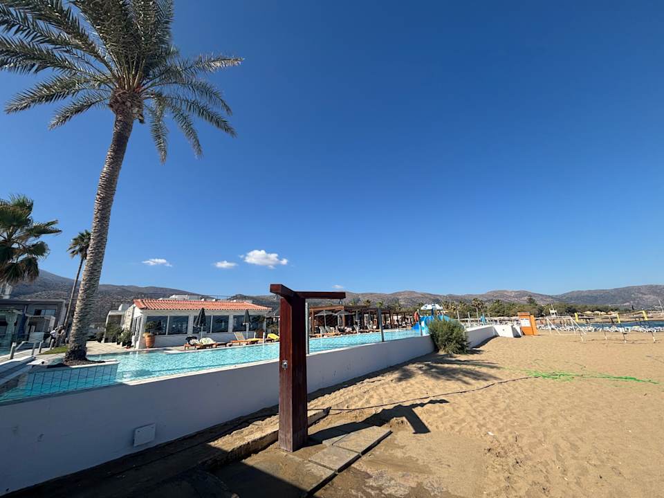 Pool allsun Hotel Carolina Mare