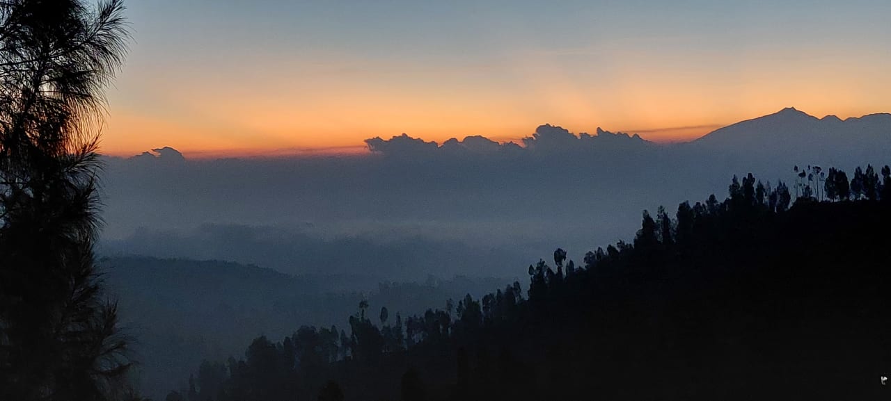 Ausblick Plataran Bromo