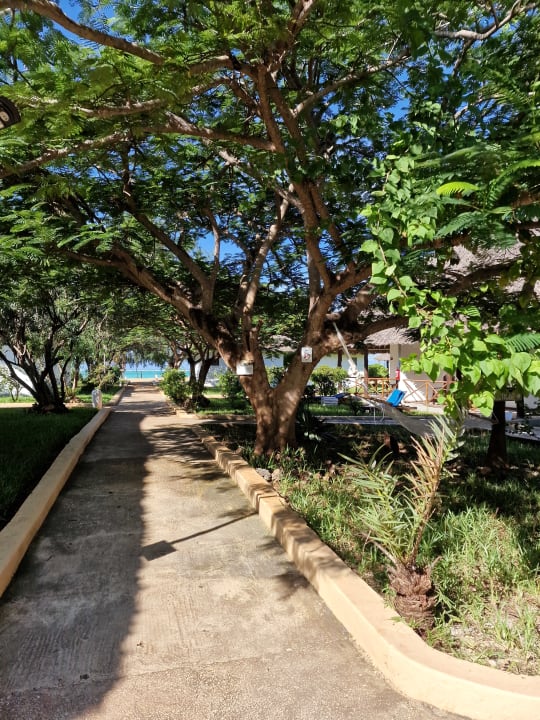 Ausblick Reef & Beach Resort