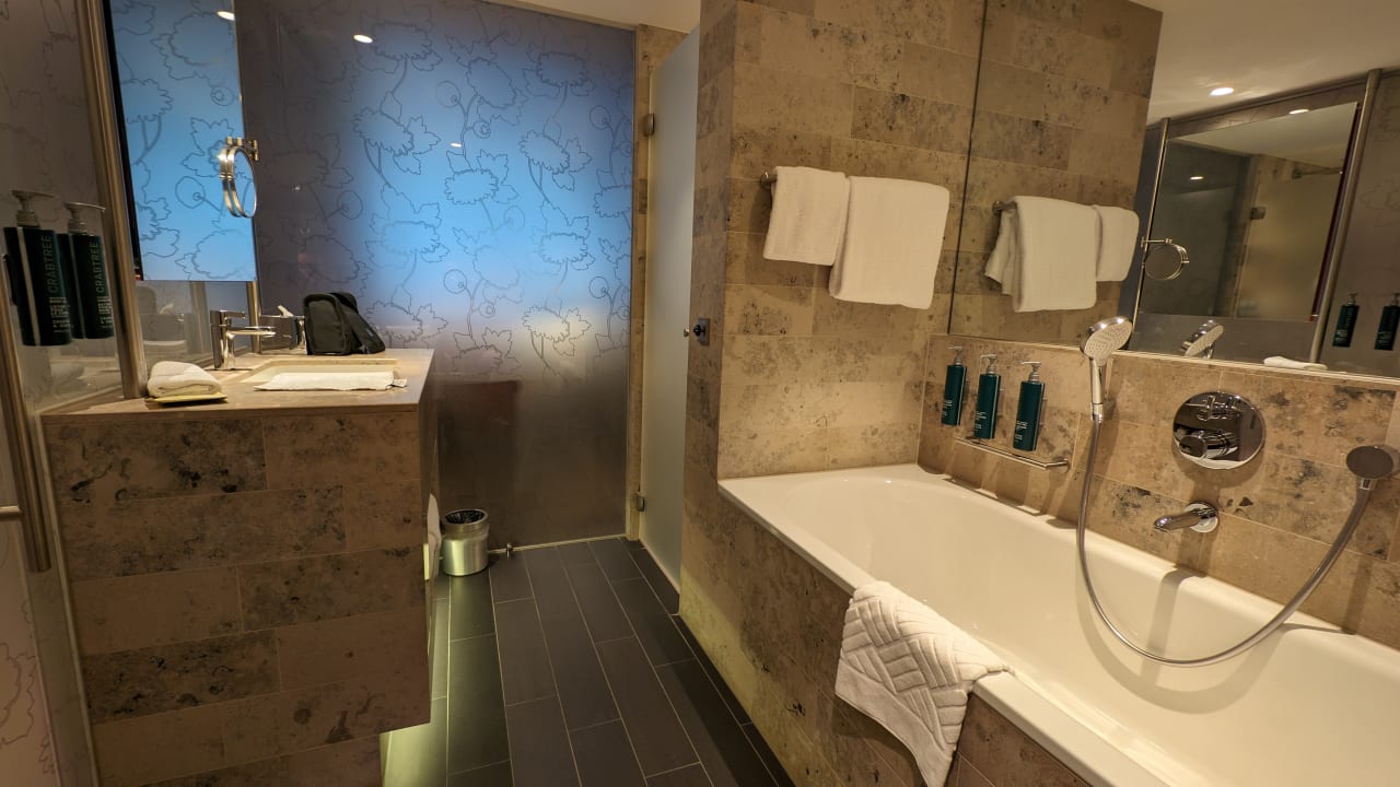 Zimmer Hilton The Hague