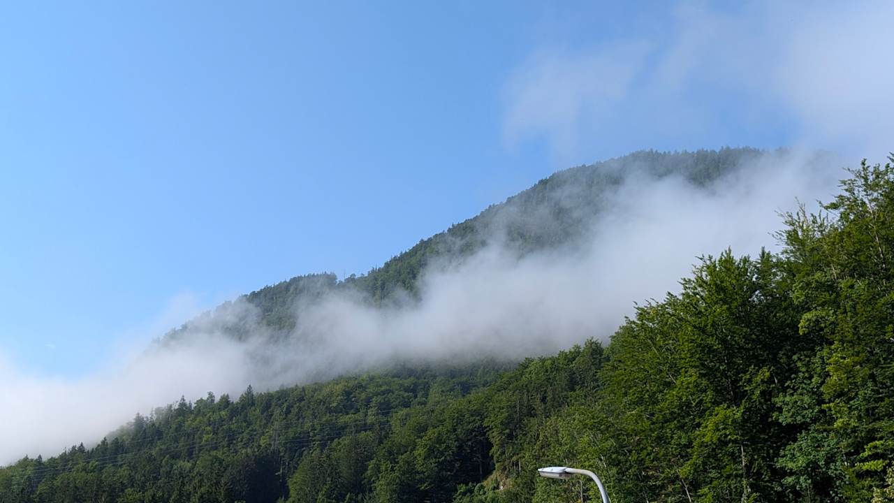 Ausblick Pension Waldesruh