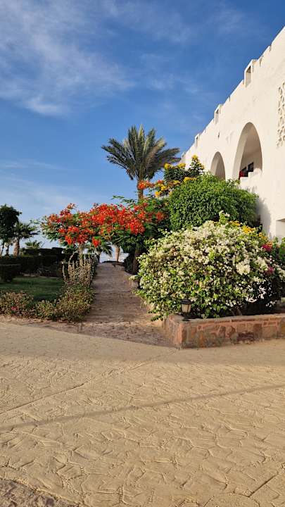 Gartenanlage Three Corners Equinox Beach Resort