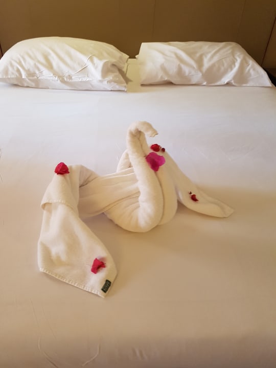 Bett Jaz Makadi Oasis Resort