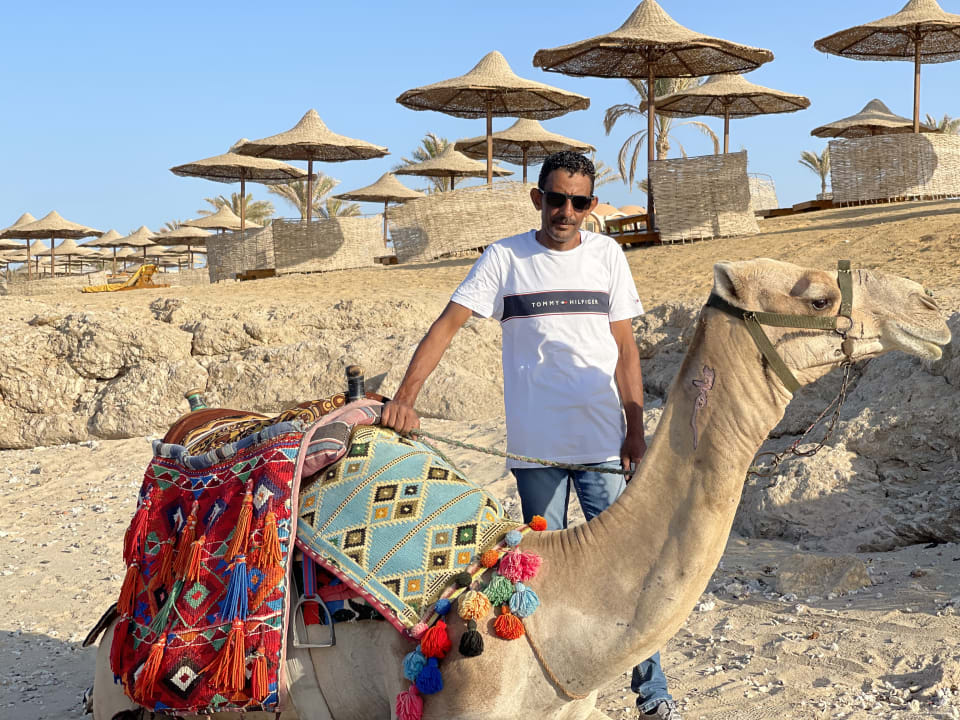 Sonstiges Three Corners Sea Beach Resort