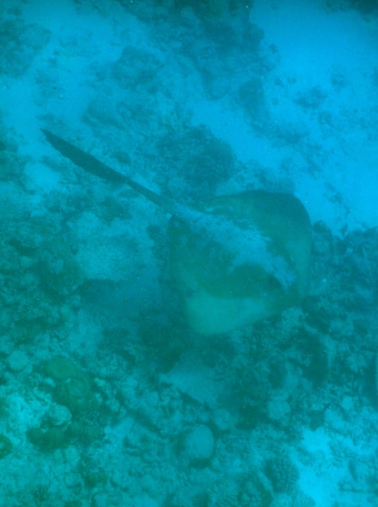 Sport & Freizeit Hondaafushi Island Resort
