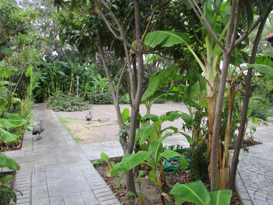 Gartenanlage Irene Palace Beach Resort Club alltoura