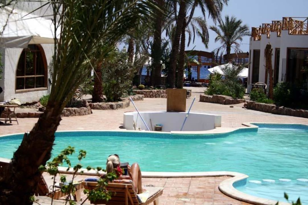 Hotel Planet Oasis - Swimming Pool Hotel Planet Oasis