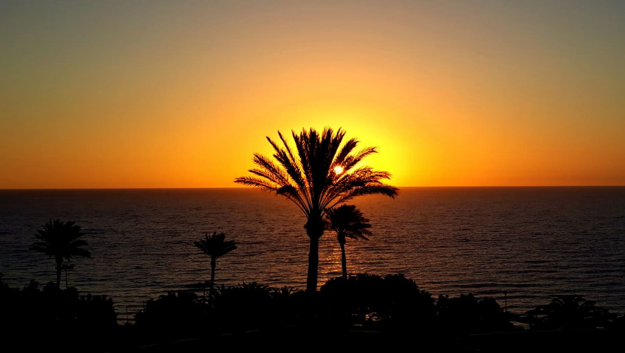 Ausblick SBH Club Paraiso Playa