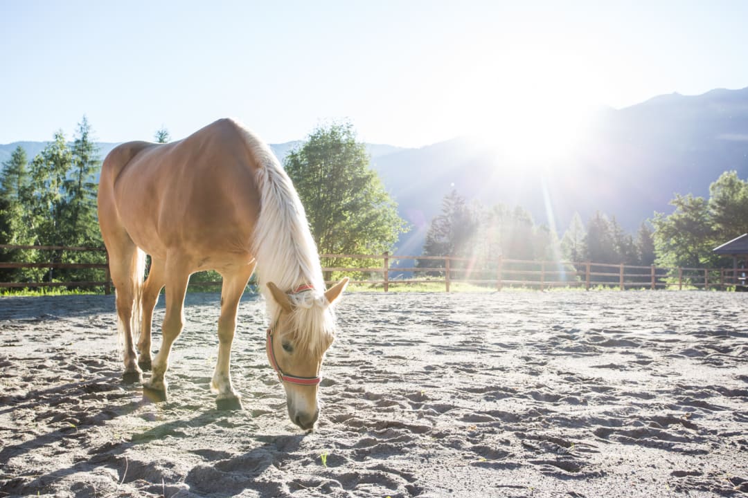 Sport & Freizeit Haus Pienz
