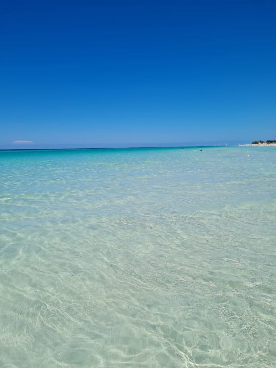 Strand Starfish Cuatro Palmas