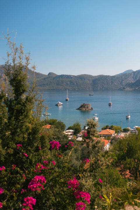 Ausblick Boho Garden Boutique Hotel