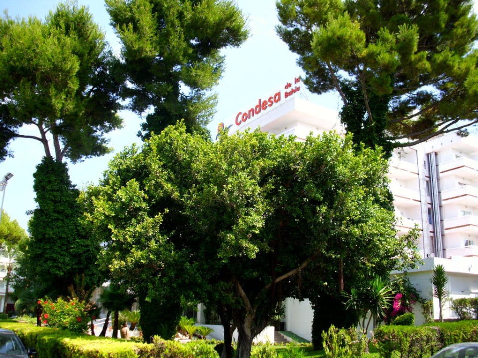 Hotel Hotel Condesa